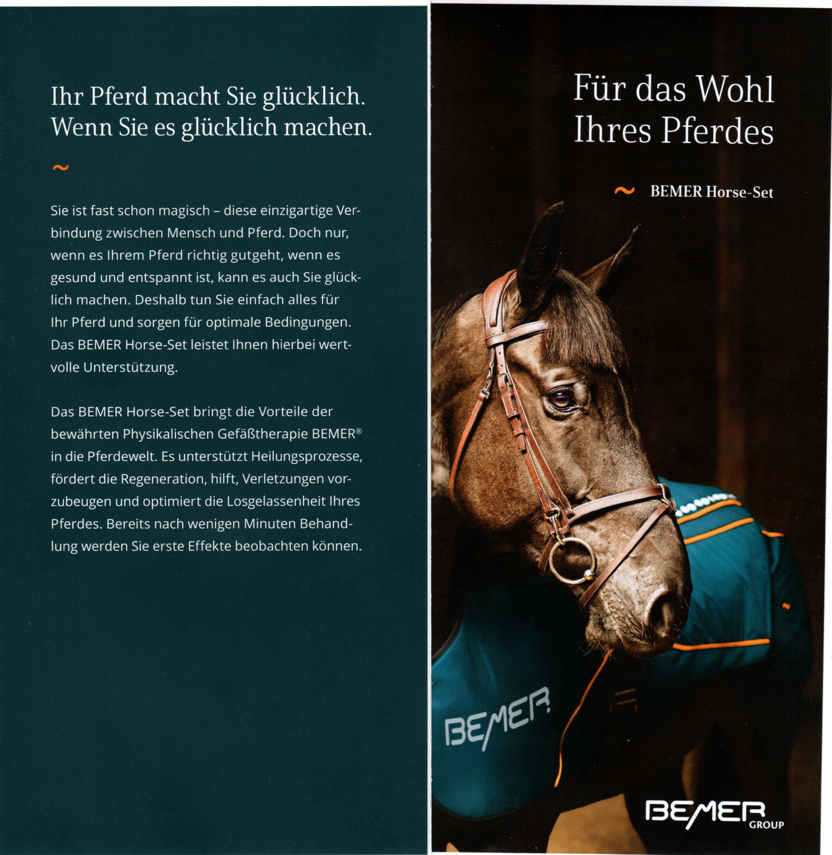 Ferienhof Hubertus - BEMER  Horse Set